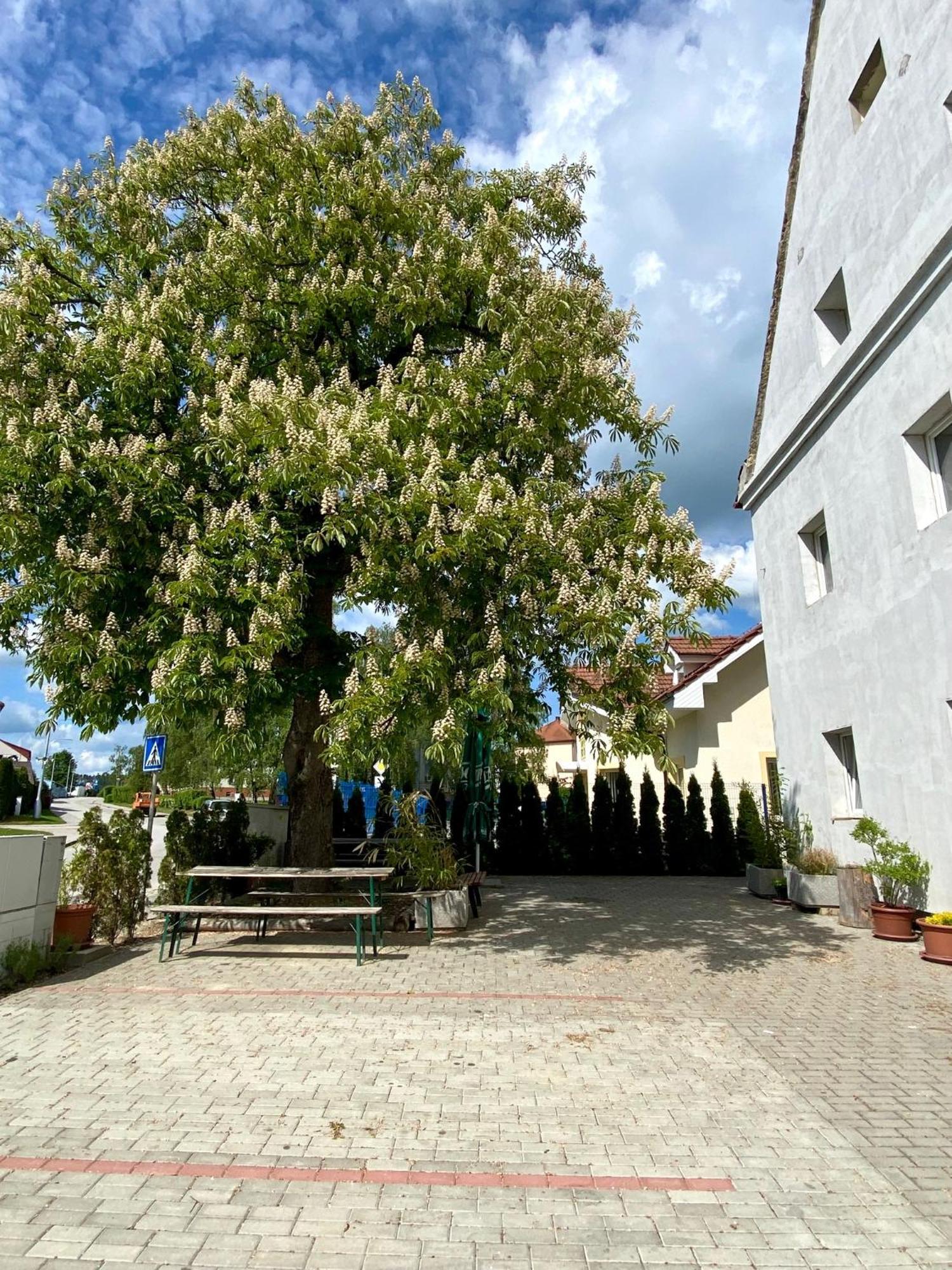 Ubytovna Kaplice Exterior foto